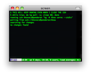 gnu_screen_screenshot1