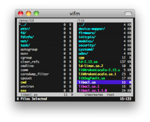 vifm_screenshot1